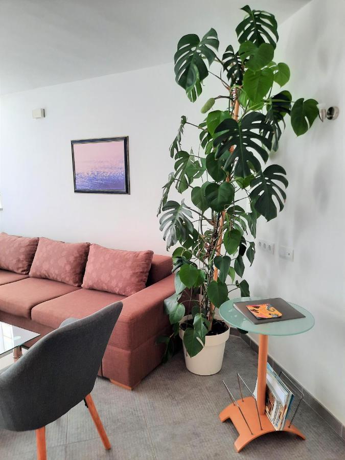 Apartment Mato Barbariga Luaran gambar